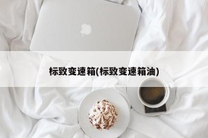 标致变速箱(标致变速箱油)