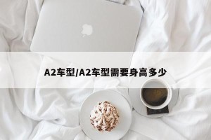 A2车型/A2车型需要身高多少