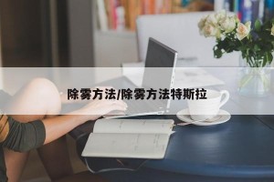 除雾方法/除雾方法特斯拉