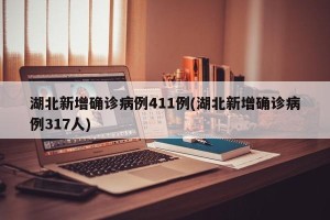 湖北新增确诊病例411例(湖北新增确诊病例317人)