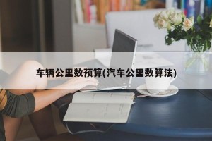 车辆公里数预算(汽车公里数算法)